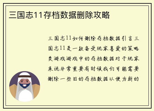 三国志11存档数据删除攻略