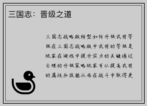 三国志：晋级之道